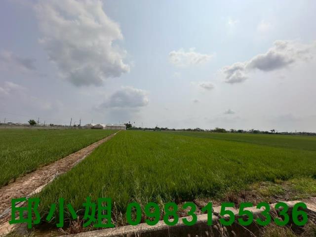 嘉義太保農地-1