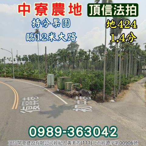 南投中寮農地法拍-1