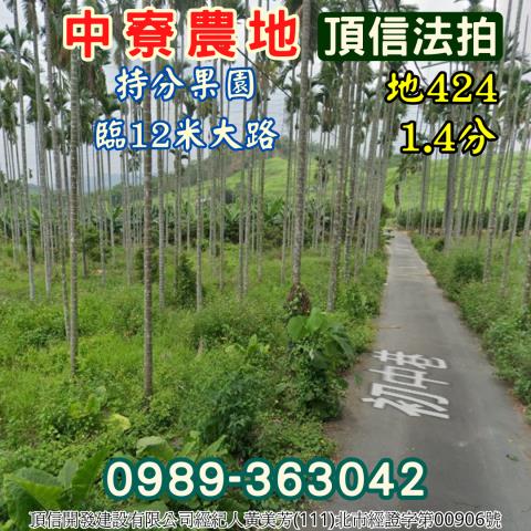 南投中寮農地法拍-3
