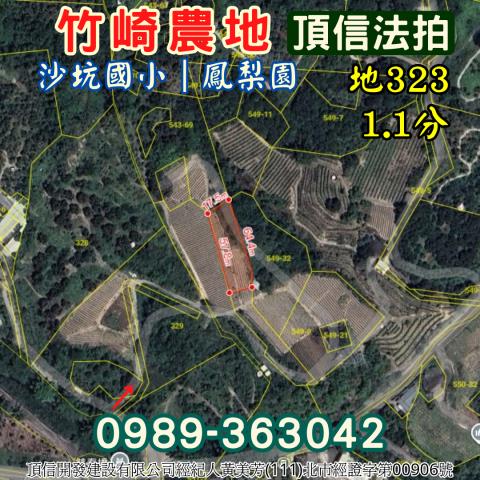 嘉義竹崎法拍農地-2
