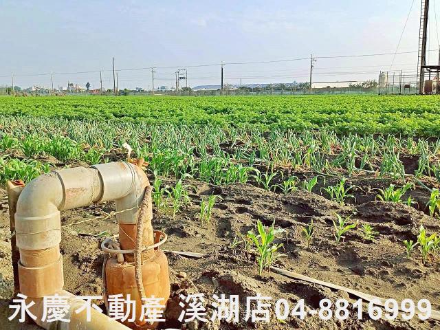 芳苑農地-8