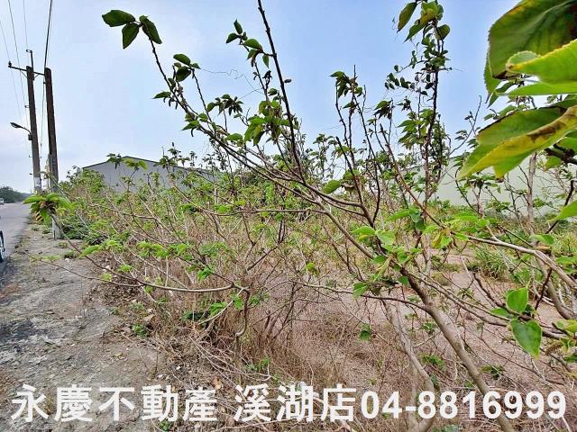 福興農地-5