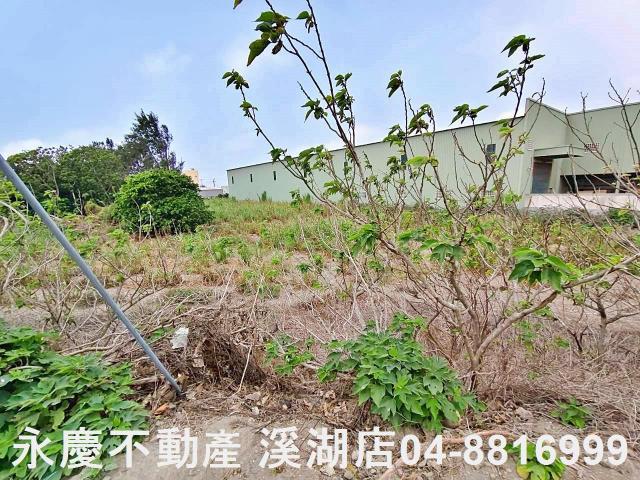 福興農地-7