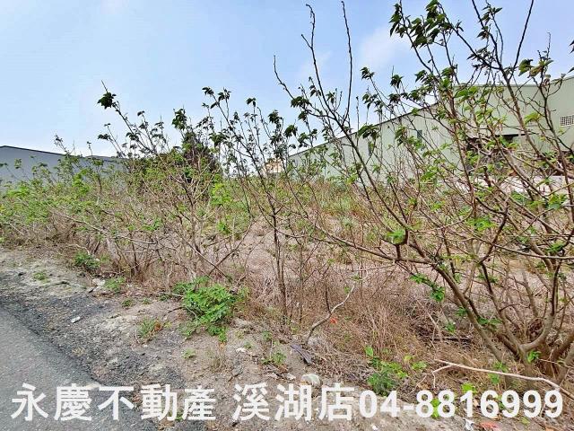 福興農地-9