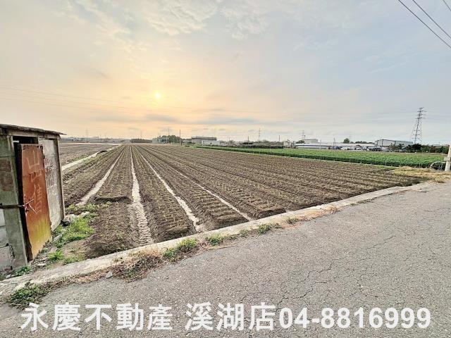 田尾農地-2