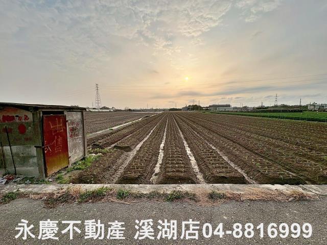 田尾農地-4