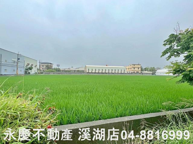 秀水農地-5