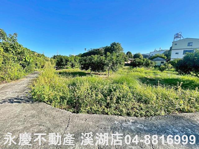 社頭農地-13