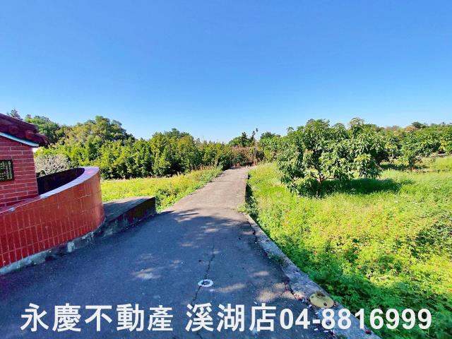 社頭農地-4