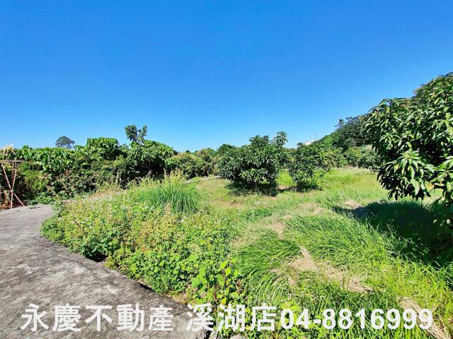 社頭農地-5