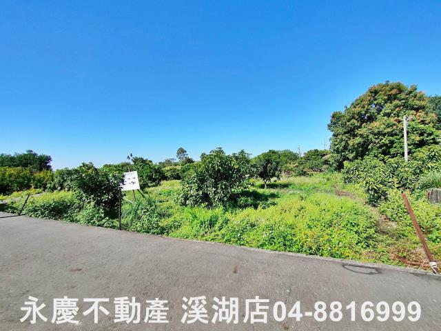 社頭農地-8