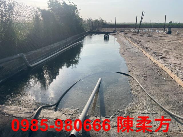 六腳農地-12