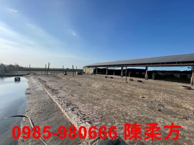 六腳農地-7