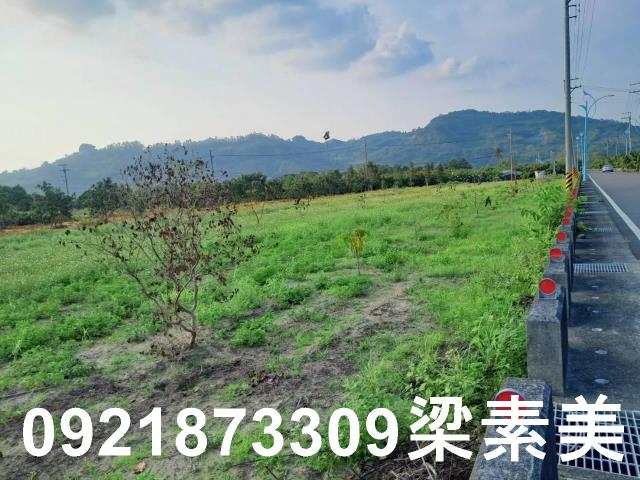 台南農地-3