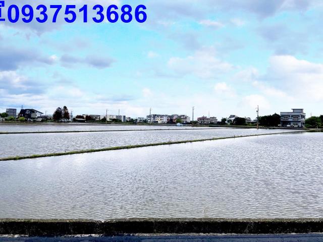 宜蘭市農地-10