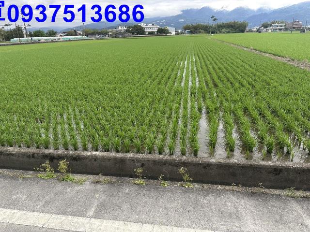 礁溪農地-13