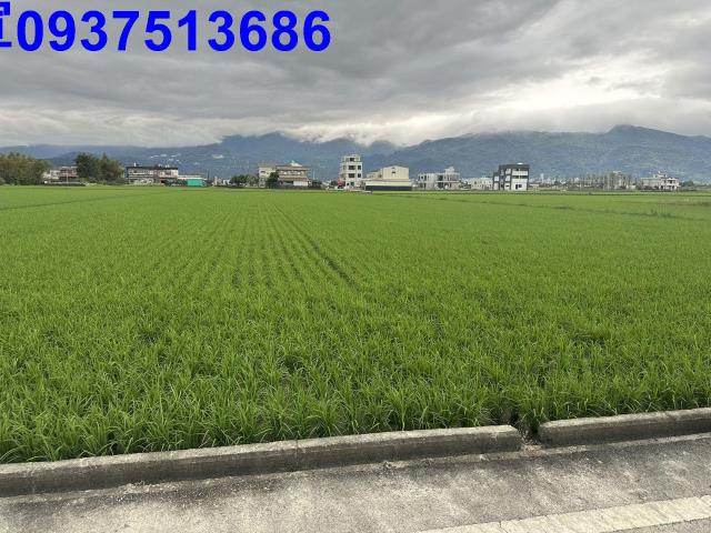 礁溪農地-2