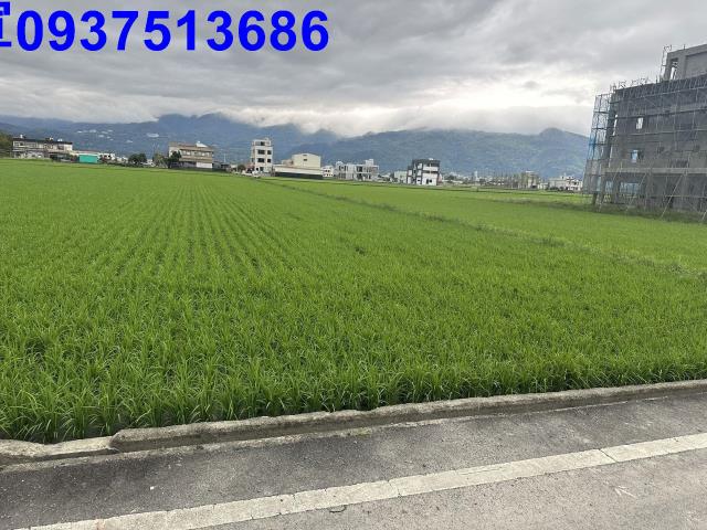 礁溪農地-7