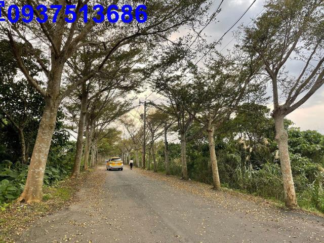 頭城農地-7