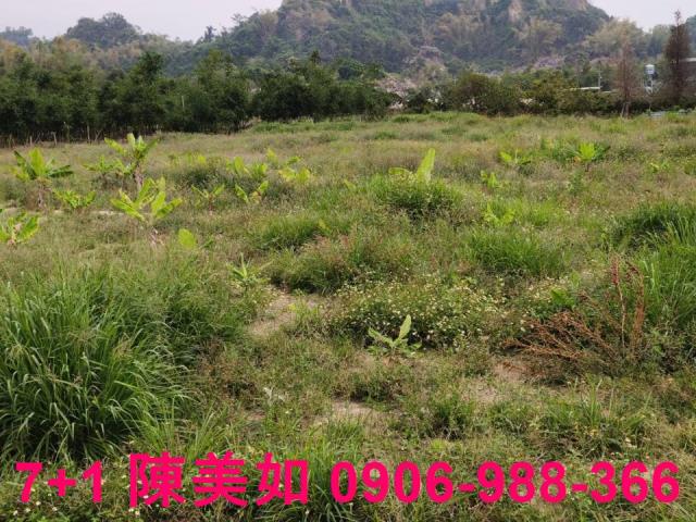 高雄農地-1