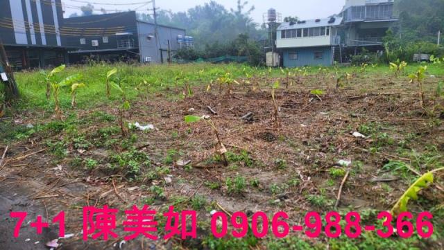 高雄農地-1