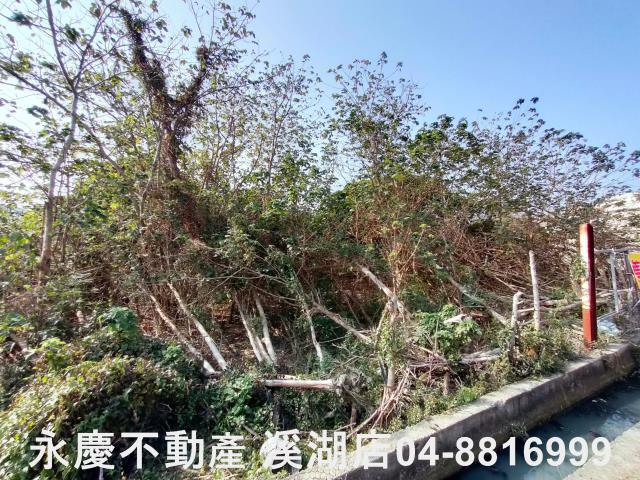 埔鹽農地-7