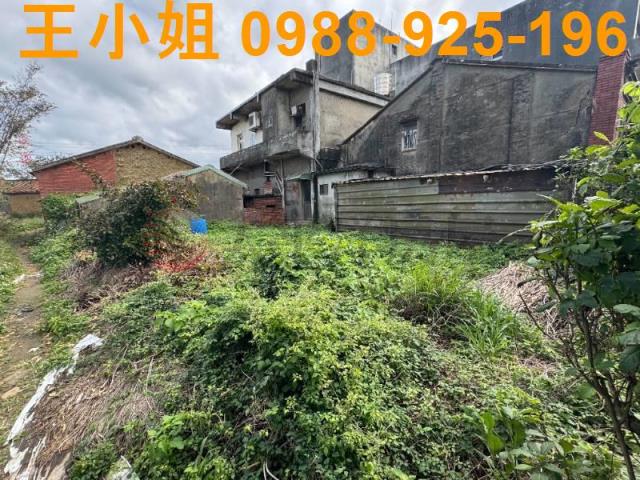 蘆竹建地-2