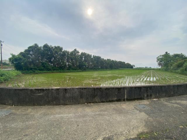觀音農地-7