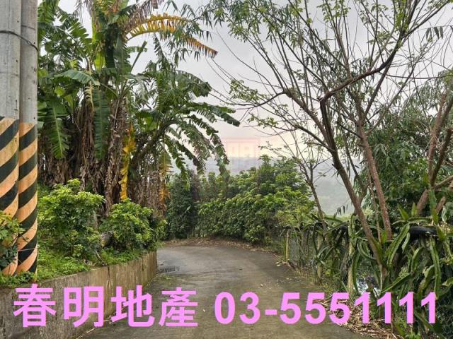 新竹農地-11