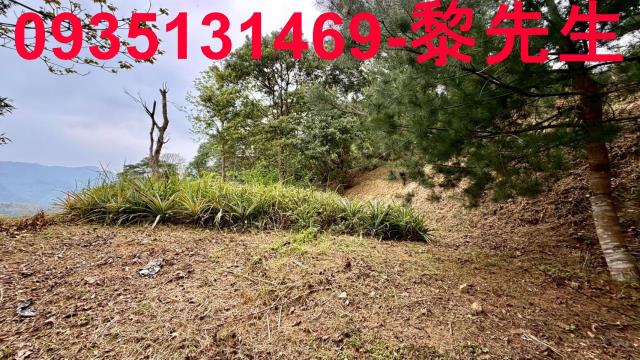 新竹農地-12