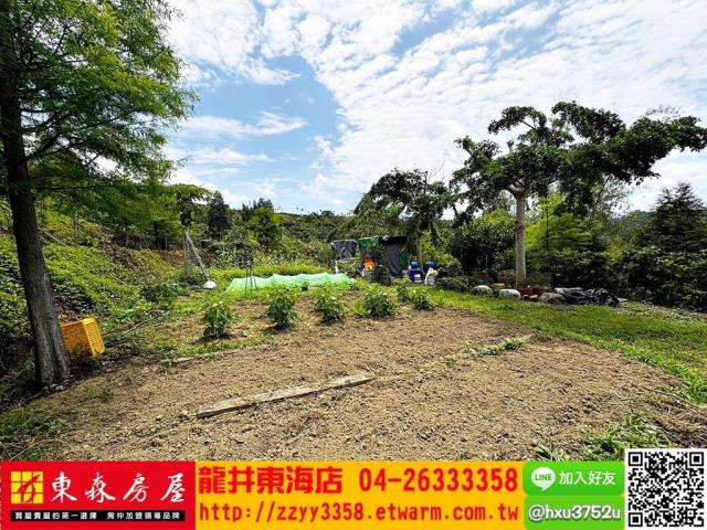 台中東勢農牧用地-8