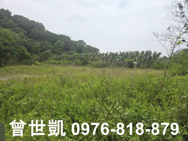 新竹關西農地-11
