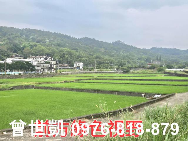 新竹關西農地-5
