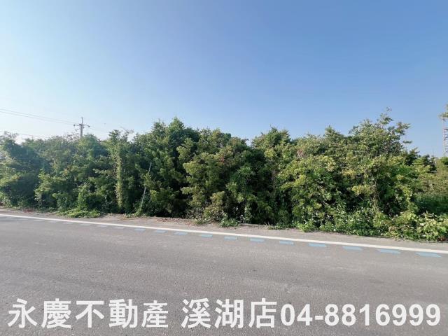 彰化埤頭農地-12