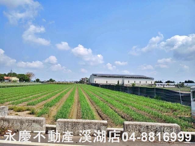 彰化田尾農地-6