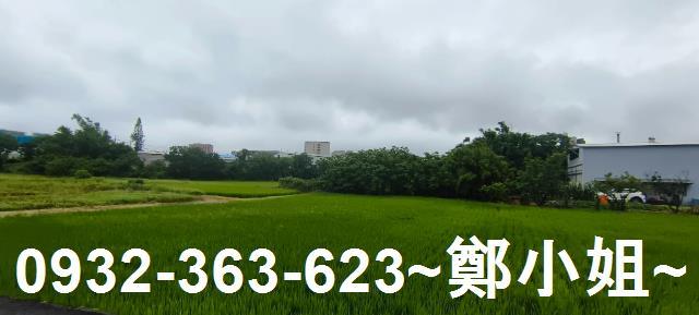 桃園大園農地-3