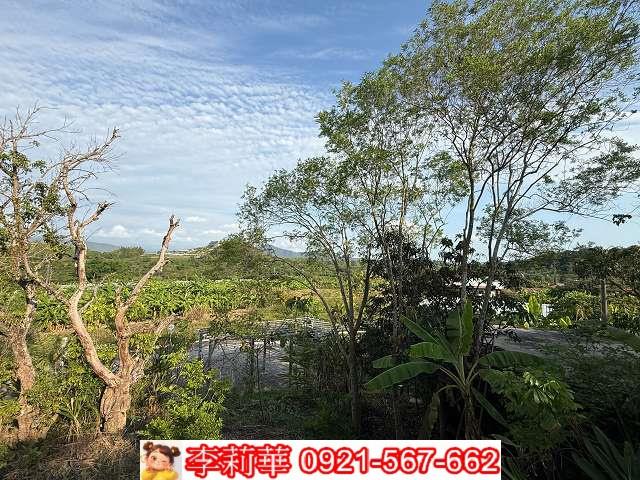 高雄內門農地-14