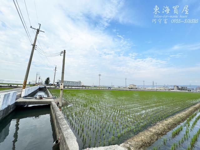 龍井農地-12