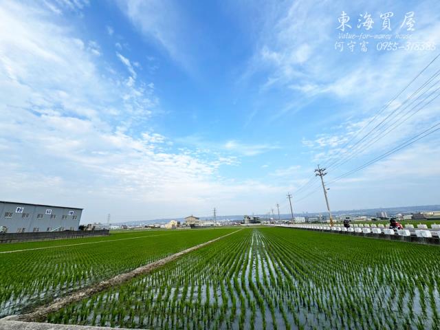 龍井農地-7