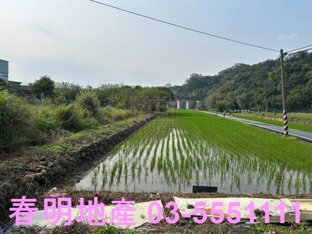 竹北農地-10