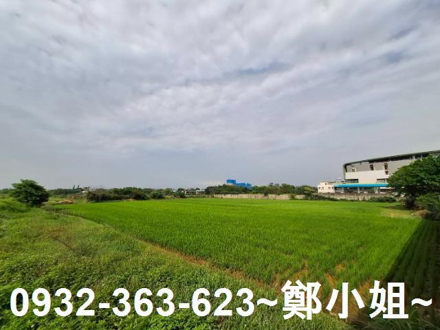 蘆竹農地-4