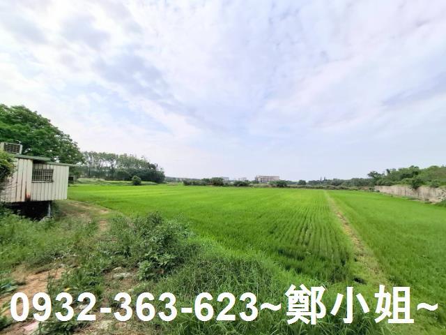 蘆竹農地-6