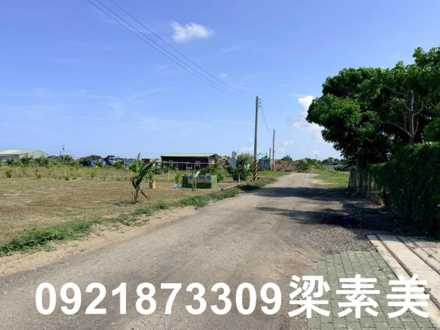 台南仁德農地-5