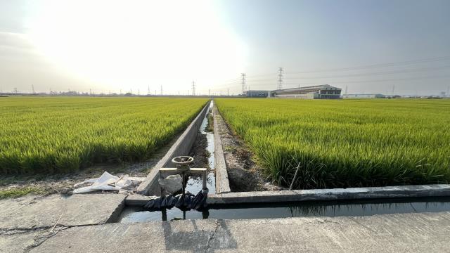 高雄路竹農地-10