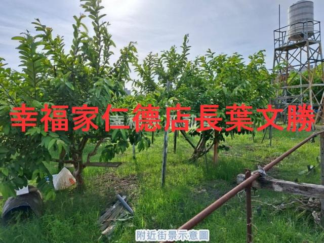 台南永康農地-14