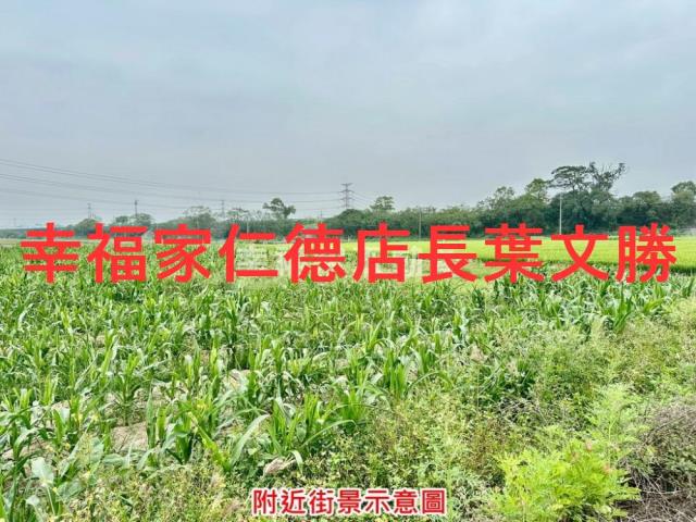 台南善化農地-1