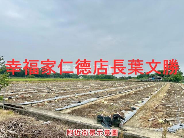 台南善化農地-3