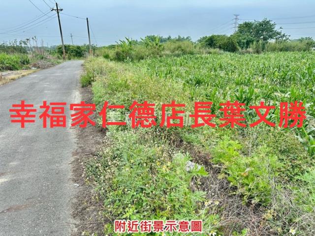 台南善化農地-4
