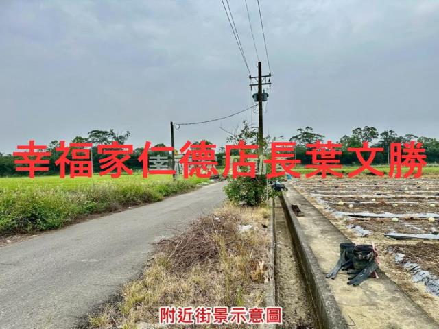 台南善化農地-5