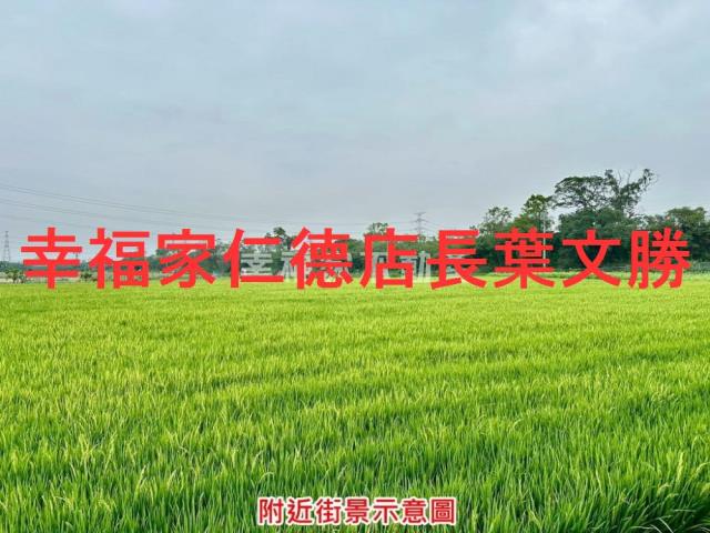 台南善化農地-6